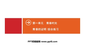 《青春的证明》青春时光PPT(综合练习)