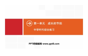 《中学时代》成长的节拍PPT(综合练习)