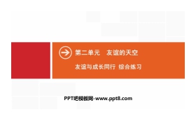 《友谊与成长同行》友谊的天空PPT(综合练习)