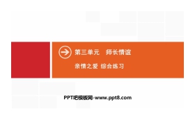 《亲情之爱》师长情谊PPT(综合练习)