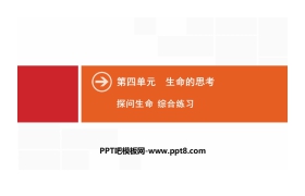 《探问生命》生命的思考PPT(综合练习)