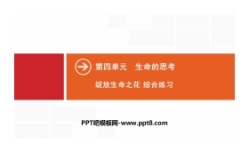 《绽放生命之花》生命的思考PPT(综合练习)