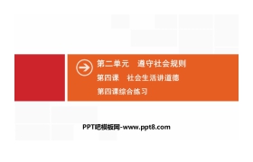 《社会生活讲道德》遵守社会规则PPT(综合练习)