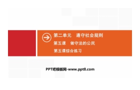 《做守法的公民》遵守社会规则PPT(综合练习)
