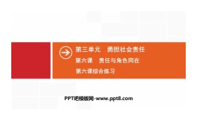 《责任与角色同在》勇担社会责任PPT课件(综合练习)