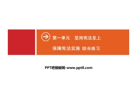《保障宪法实施》坚持宪法至上PPT(综合练习)