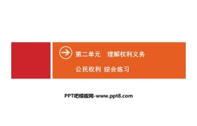 《公民权利》理解权利义务PPT(综合练习)