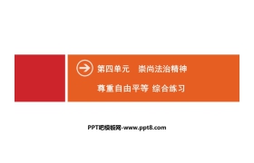 《尊重自由平等》崇尚法治精神PPT(综合练习)