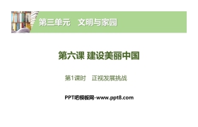 《建设美丽中国》文明与家园PPT(第1课时正视发展挑战)
