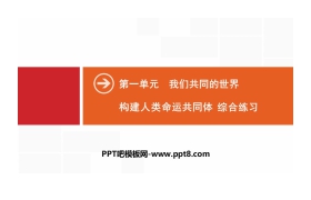 《构建人类命运共同体》我们共同的世界PPT(综合练习)