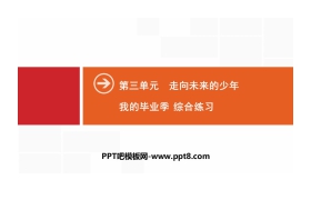 《我的毕业季》走向未来的少年PPT(综合练习)