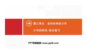 《少年的担当》走向未来的少年PPT(综合练习)