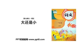 《大还是小》PPT精品课件下载