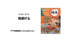 《我是什么》PPT优秀课件下载