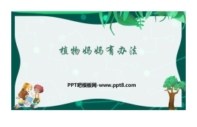 《植物妈妈有办法》PPT教学课件