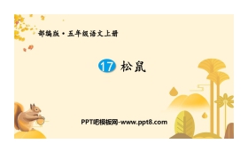 《松鼠》PPT优秀课件