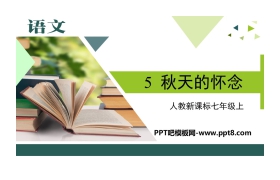 《秋天的怀念》PPT优质课件