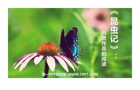 《昆虫记》PPT课件