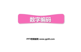 《数字编码》PPT下载