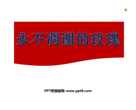 《永不凋谢的玫瑰》PPT课件3