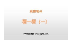 《看一看(一)》观察物体PPT下载