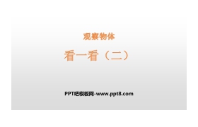 《看一看(二)》观察物体PPT下载