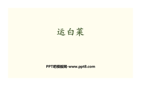 《运白菜》加与减PPT