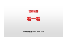 《看一看》观察物体PPT免费下载