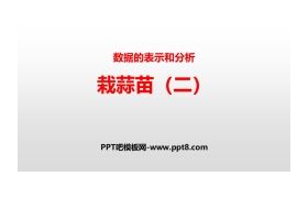 《栽蒜苗(二)》数据的表示和分析PPT