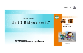 《Did you see it?》PPT