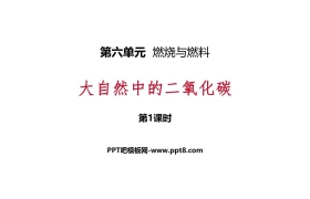 《大自然中的二氧化碳》燃烧与燃料PPT(第1课时)