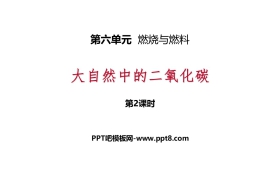 《大自然中的二氧化碳》燃烧与燃料PPT(第2课时)