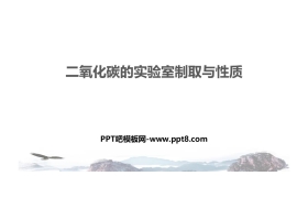 《二氧化碳的实验室制取与性质》燃烧与燃料PPT