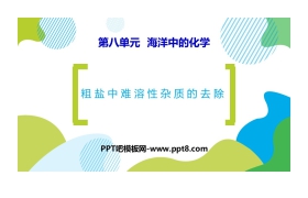 《粗盐中难溶性杂质的去除》海水中的化学PPT