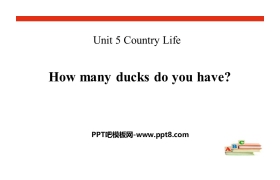 《How many ducks do you have?》Country Life PPT