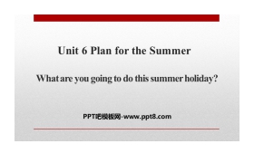 《What are you going to do this summer holiday?》Plan for the Summer PPT