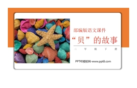 《“贝”的故事》PPT课件免费下载