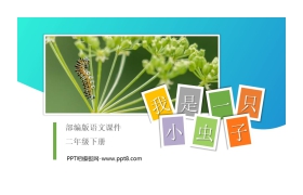 《我是一只小虫子》PPT课件免费下载