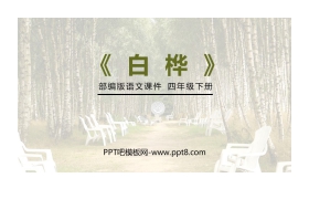 《白桦》PPT课件下载
