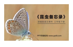 《昆虫备忘录》PPT课件免费下载