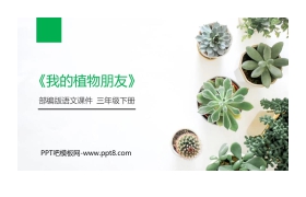 《我的植物朋友》PPT课件下载
