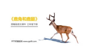 《鹿角和鹿腿》PPT课件免费下载