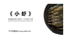 《小虾》PPT课件免费下载