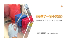 《我做了一项小实验》PPT课件下载