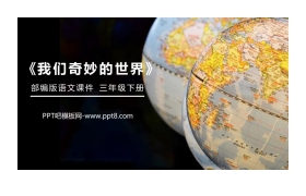 《我们奇妙的世界》PPT课件免费下载