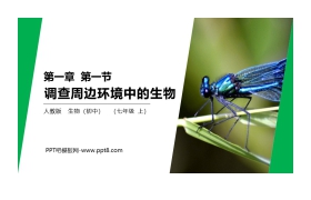 《调查周边环境中的生物》PPT课件