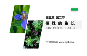 《植株的生长》PPT精品课件