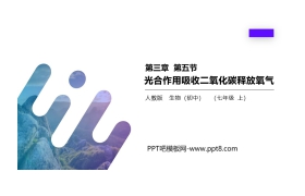 《光合作用吸收二氧化碳释放氧气》PPT精品课件