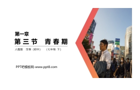 《青春期》PPT精品课件