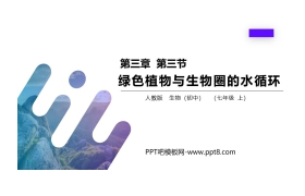 《绿色植物与生物圈的水循环》PPT精品课件